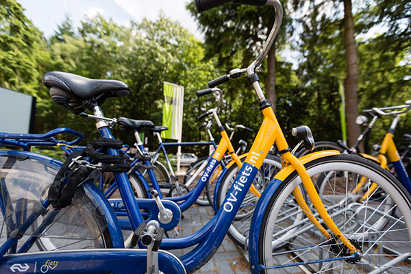 荷兰叫停共享单车,看商家如何回应|荷兰|共享单