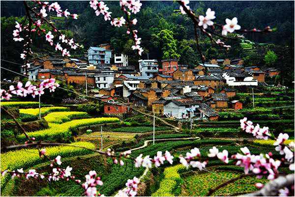松阳gdp_厉害了,2017年松阳GDP首破100亿元大关