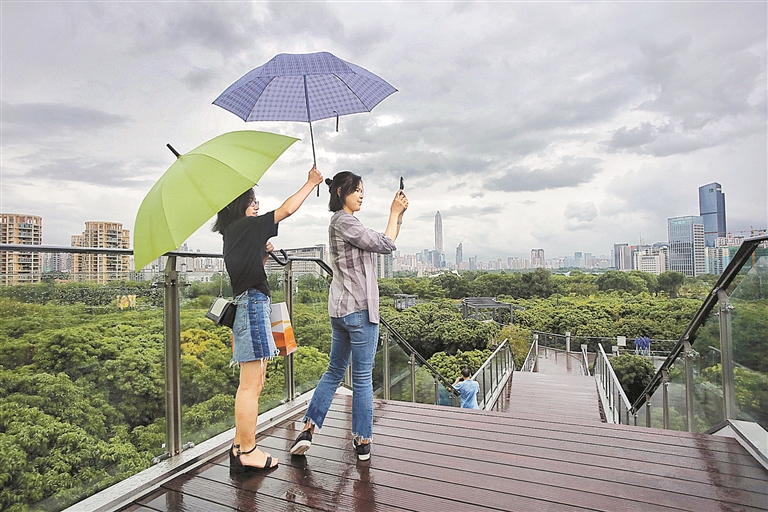 森林覆盖率超40%!深圳蓝背后还有这一抹给