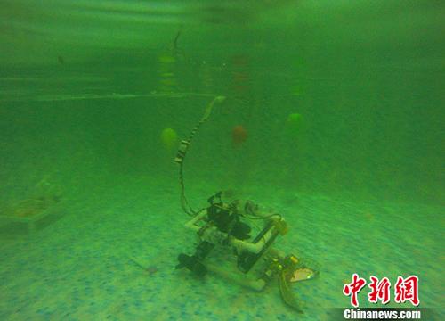 7月29日,水下机器人在水下捕捞乒乓球。当日,为期三天的第十届国际水中机器人大赛在合肥市清华启迪科技城拉开帷幕。本次大赛设有“水面垃圾清理”、“水中排球”、“水陆协同”等23项比赛,吸引了来自高校、中小学以及企业等领域的近500支队伍参赛。 <a target=\'_blank\' href=\'http://www.chinanews.com/\'>中新社</a>记者 张娅子 摄
