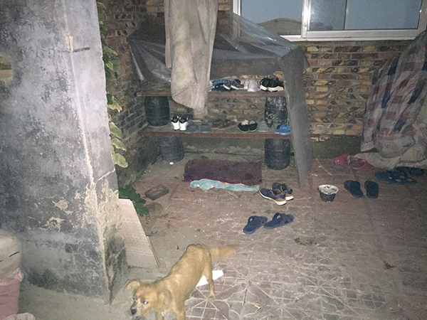 灰色生意链:打车、租房与捞人|杨鑫|静海|天津