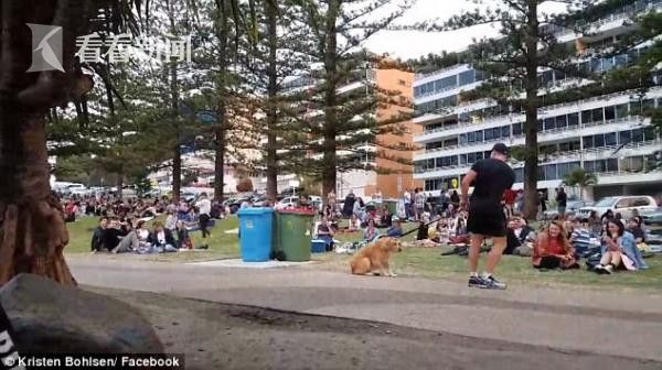 视频 | 笑呆!狗狗不愿离开公园回家 倒地装死怎