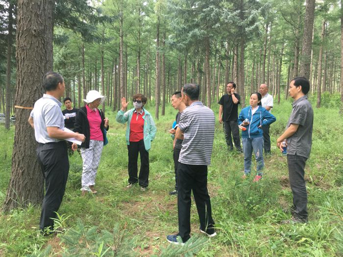 规划院项目组赴河北木兰林管局开展《森林质量