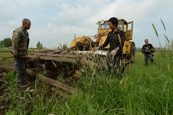 资料图：俄罗斯远东地区的克拉斯诺亚尔斯克村的中国农民。（美国《纽约时报》网站）