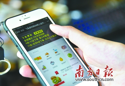 手机下单 送货上门|天猫|飞兔|连州