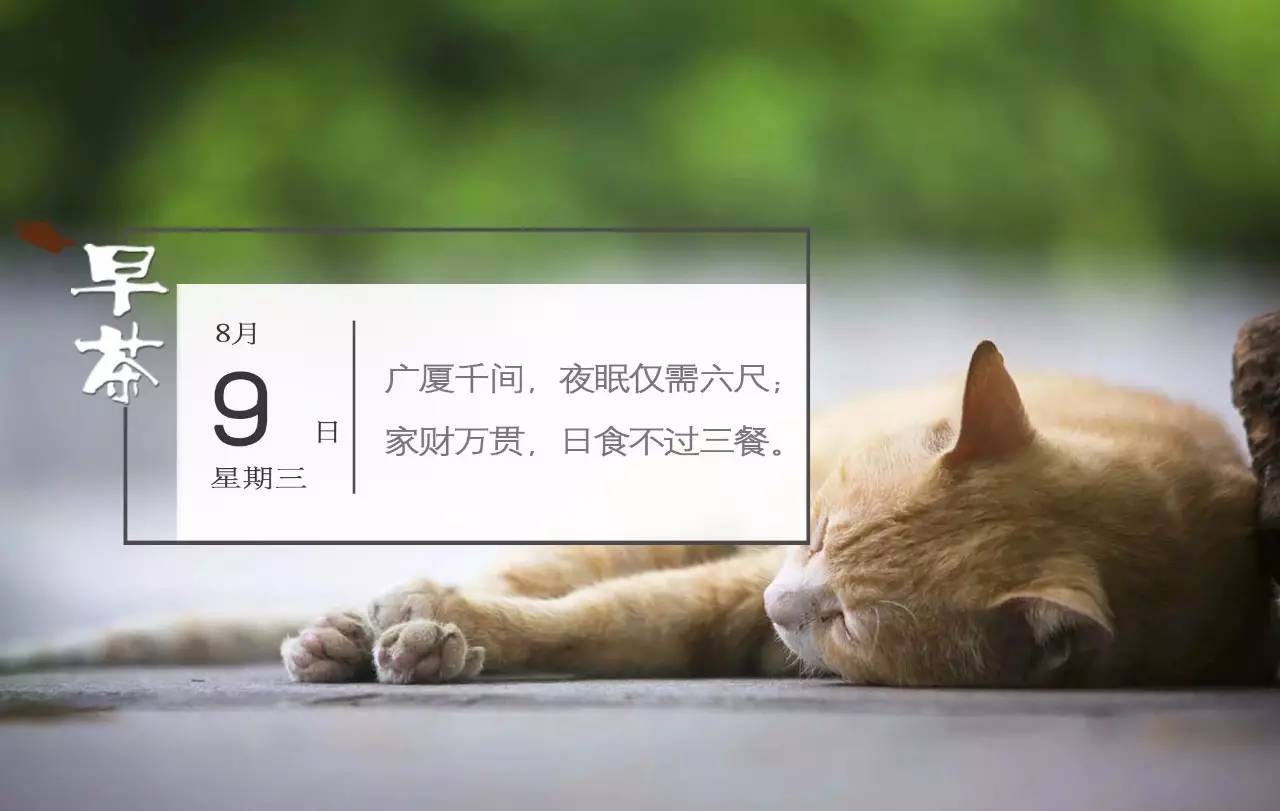 四川九寨沟7.0级地震最新消息汇总丨这些关于