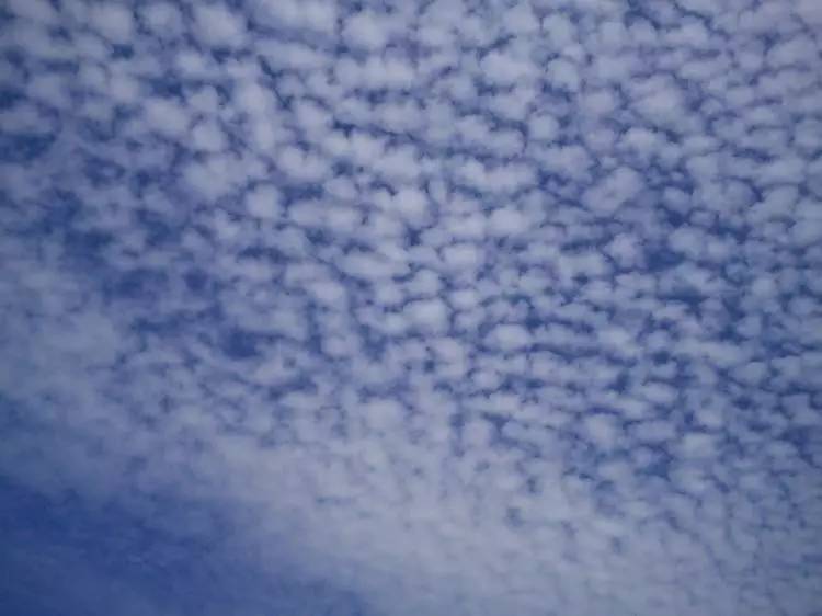 四川九寨沟地震已致13死175伤!刚刚,黑龙江籍