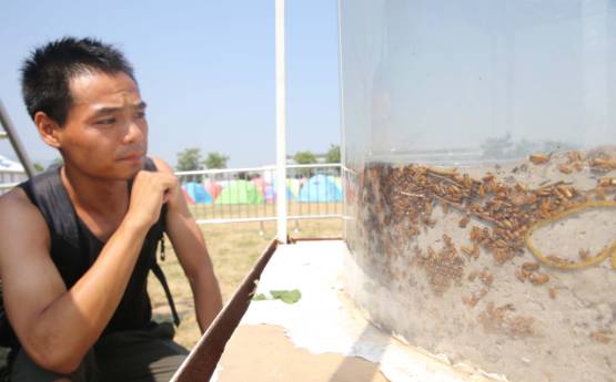 四川九寨7级地震已致9人身亡人164受伤 【8月