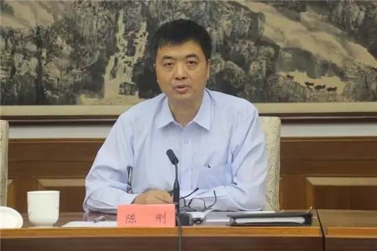 河北雄安新区宣传工作会议召开|陈刚|新区|河北_新浪新闻