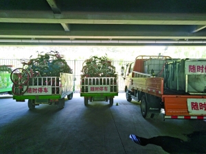 共享单车现乱象:我是谁? 我在哪!|共享单车|通州