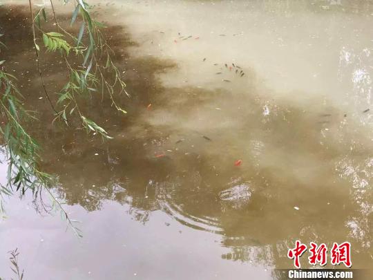 图为丽江黑龙潭异常水域　丽江市委宣传部供图　摄
