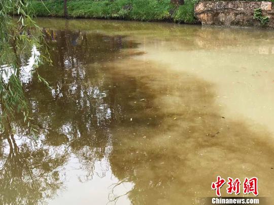 图为丽江黑龙潭异常水域 丽江市委宣传部供图 摄