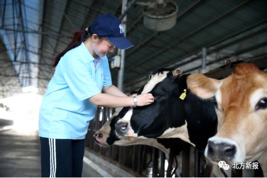 赞!内蒙古自治区主席质量奖正式公布,蒙牛唯一