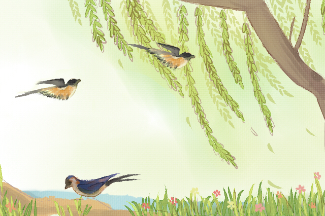 第19届国际植物学大会公号精彩继续,诗词大