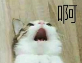 每日轻松一刻8月11日 装逼新境界！用贷款来养女主播