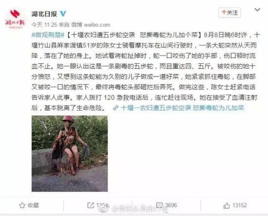 牛X！老妇暴怒之下手撕毒蛇为儿加菜 然后真相却是... - 2