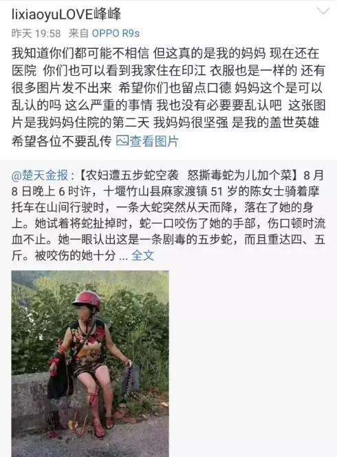 牛X！老妇暴怒之下手撕毒蛇为儿加菜 然后真相却是... - 6