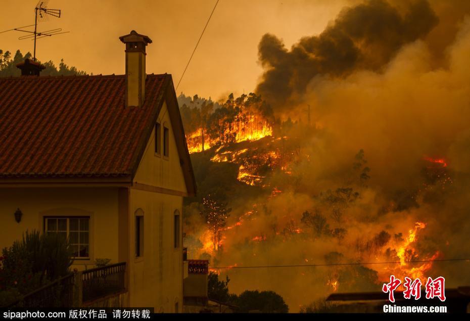 马克西洛佩斯-乐鱼app(leyu)官方网站-乐鱼官网