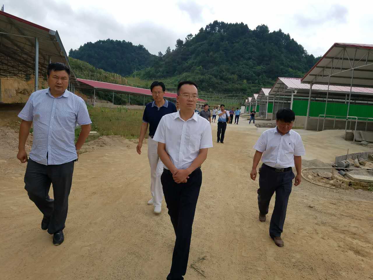 县委副书记、县长李仕勇到城关镇肉牛养殖产业