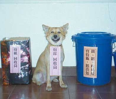 每日轻松一刻8月11日 装逼新境界！用贷款来养女主播