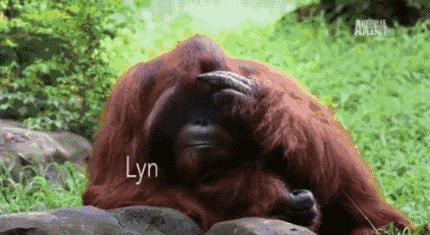 被囚禁30年,这只拥有人类灵魂的大猩猩几天前去世了.