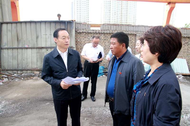 张晓容赴城北区督导环保督察反馈问题整改工作