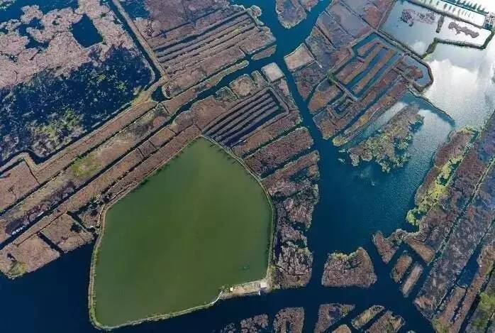 雄安新区公布污染环境违法犯罪十大典型案例|