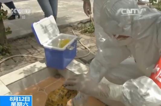 【四川九寨沟7.0级地震】灾后防疫全面展开 目