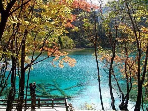 心碎!九寨沟诺日朗瀑布突然塌了,火花海五花海