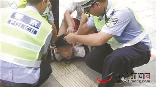 东莞交警铁骑队拦截并抓获抢夺嫌犯|摩托车|嫌