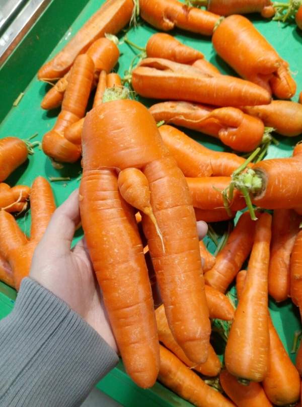 妹子你穿成这样,让我们怎么游泳啊 爆笑内涵囧图(302)