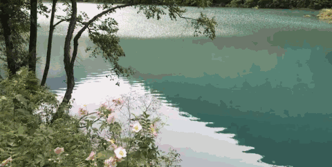 【夜读】此时此刻,感受她的美!|九寨沟|海子|五