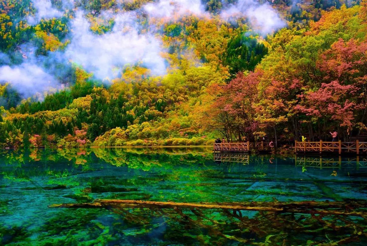 阿坝县有多少人口_阿坝县有哪些寺庙(3)