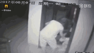 点击查看大图
