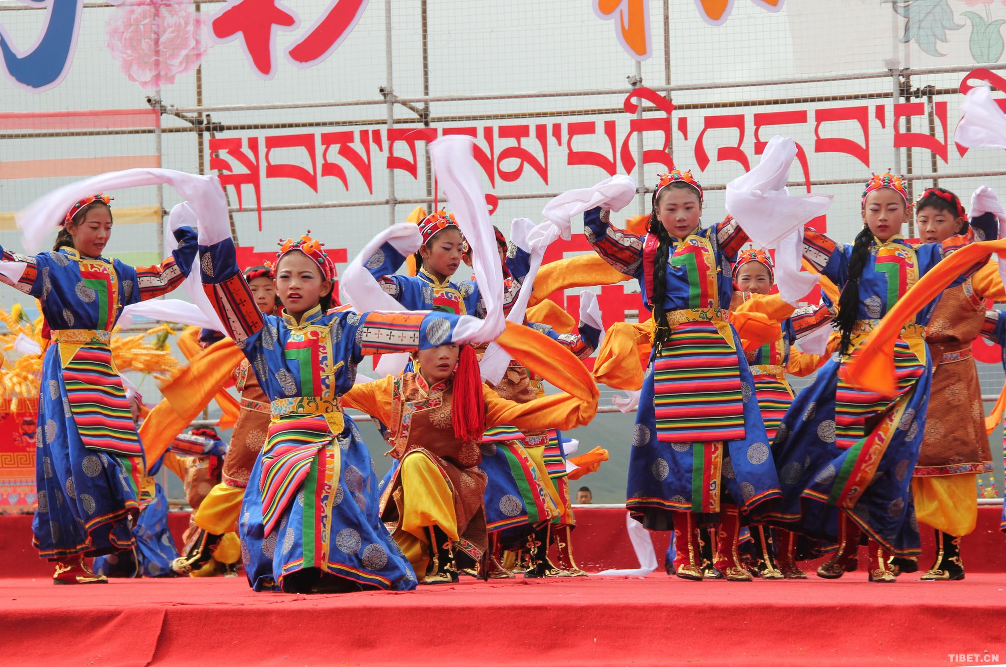 最纯真的浪漫 稻城登秋节的难忘瞬间|稻城|纯真