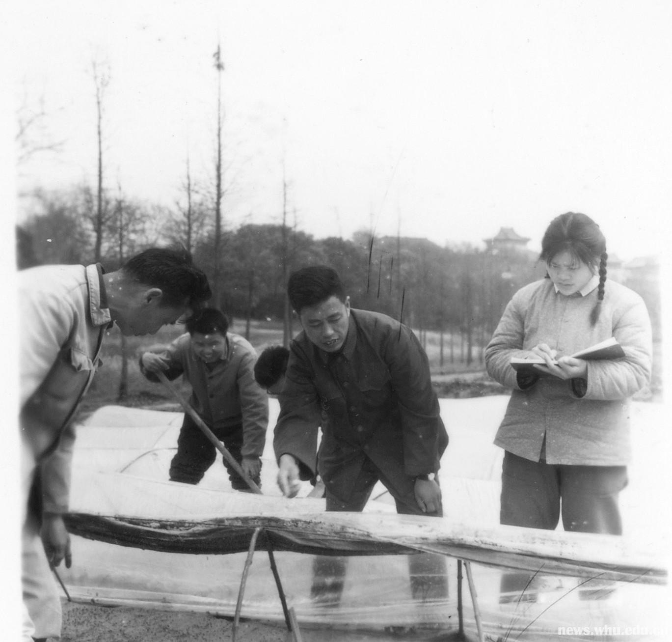 奋斗到最后一息的朱英国院士|朱英国|袁隆平|武