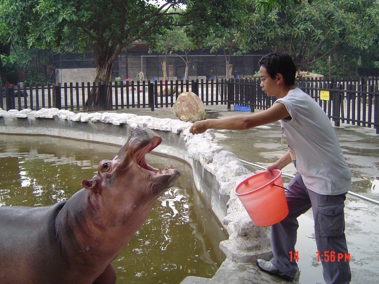 这家三甲医院新入职医生护士的岗前培训竟是去