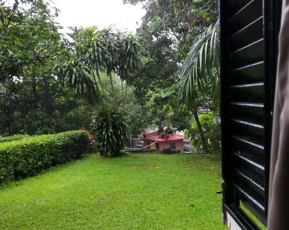 017缅甸印象:当前缅甸社会的主要矛盾是什么?