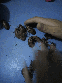 内涵段子:看着那孩子,感觉是我干的最有成就感的事情!