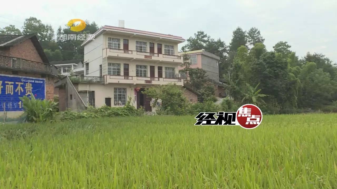 湖南女大学生求职落传销陷阱,明起全国专项整