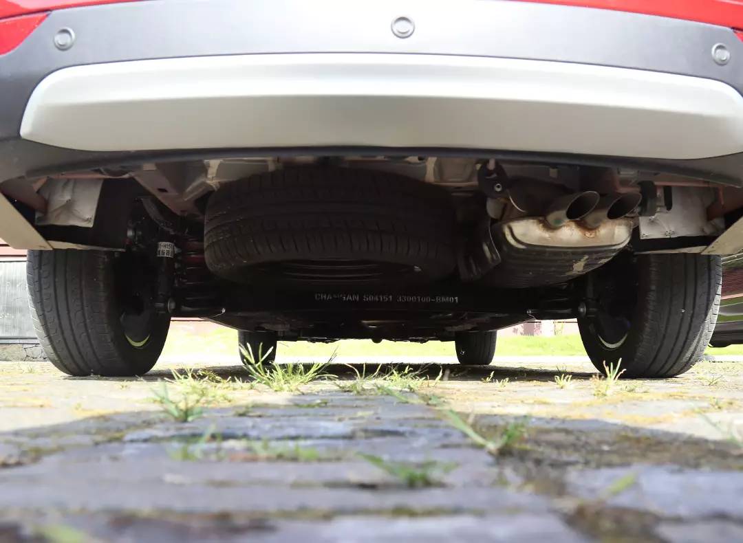 小老板的家用回本神器!带T会不会好一些?