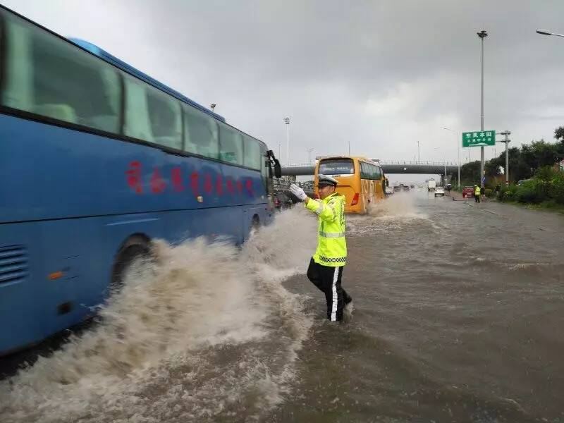 大连交警雨中跪地从下水道捞车牌!顺便说一句