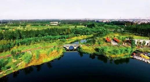 双绿 时代的上海郊野公园|郊野公园|长兴岛|中国
