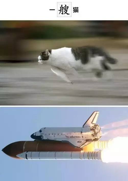 一团、一盒、一根…拼量词,竟然输给小学生!我