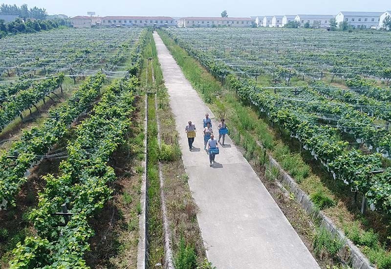 杨凌张家岗村人口_杨凌渭河湿地公园