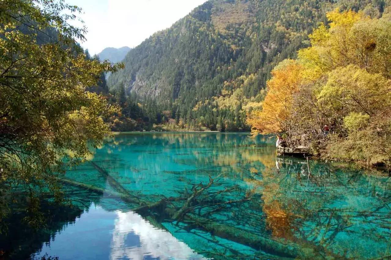 大连交警雨中跪地从下水道捞车牌!顺便说一句