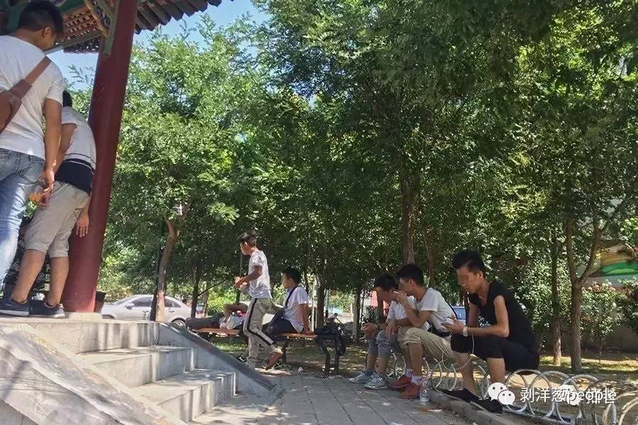 新华区千童南大道和解放东路交叉口附近的一个亭子里,成群的年轻人汇聚于此,然后以三五人为一组,分批次转移到约2.5公里外的长芦公园。