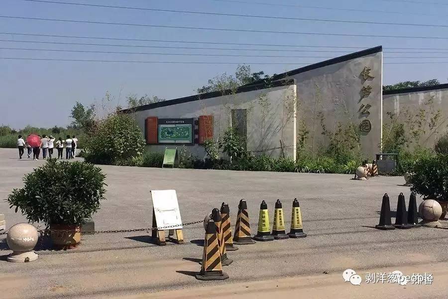 新华区长芦公园,几名年轻人结伴入园。据公园保安介绍,每天午后时段,会有一百多名年龄在20岁左右的年轻人三五成群汇聚于此,风雨无阻。这群年轻人集聚在一起,做一些宣讲、唱歌等类似团队建设的活动。