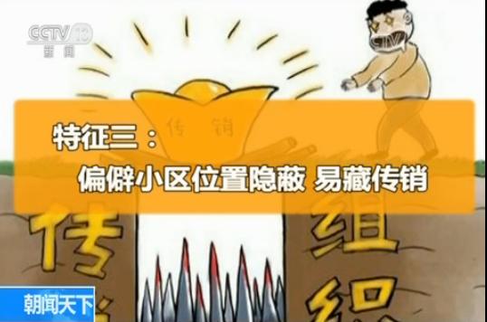 警惕!传销组织披 招聘 外衣设陷阱有三大特征|女