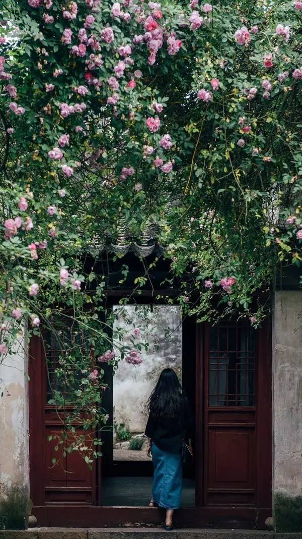 漫画 | 朋友圈最不正经的漫画,他把日子画成了诗